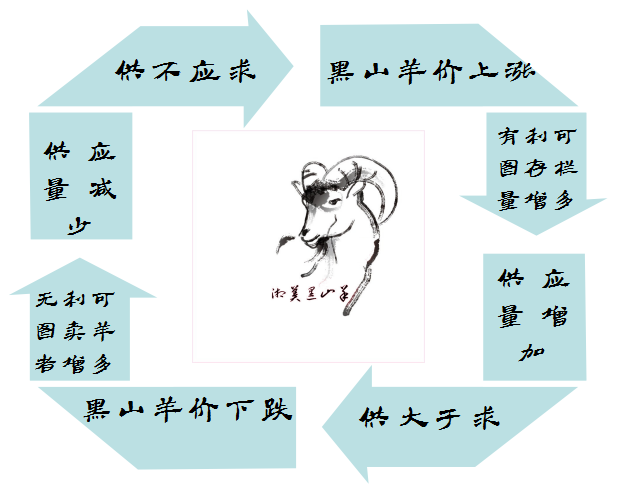 黑山羊价格 黑山羊价格